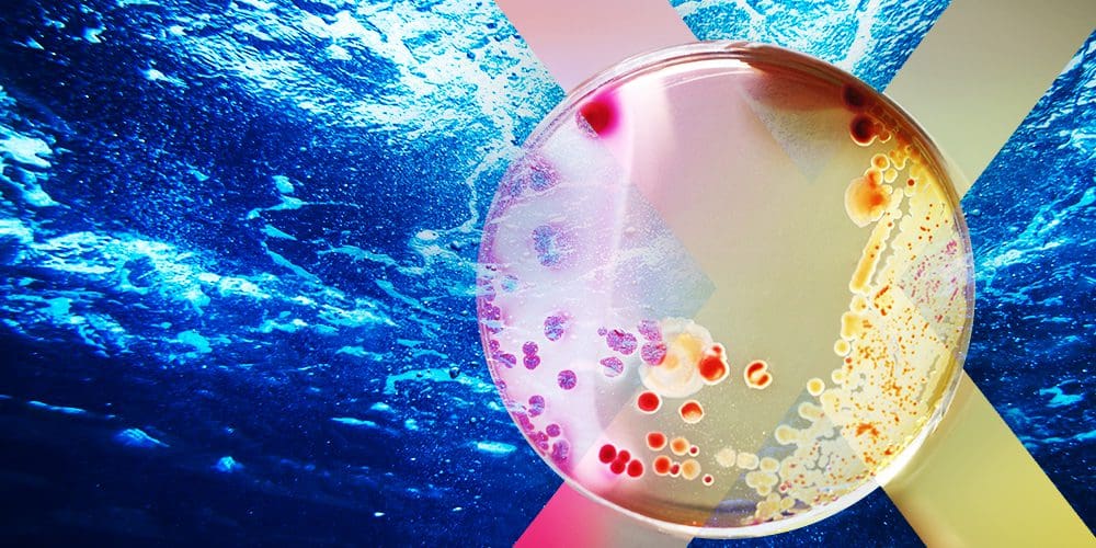 Drain brain: Meet the man who is fixing our wastewater problem