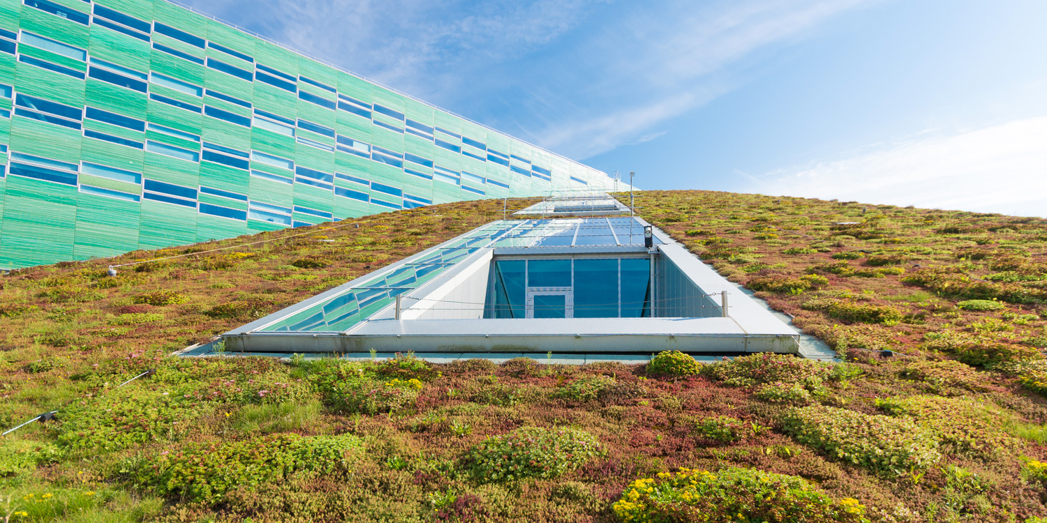 Can sustainable architecture move the needle on the climate crisis?