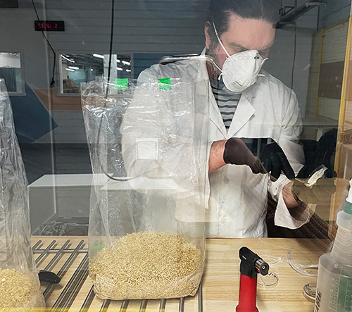 Leo Gillis, chief technical officer at MycoFutures, in the company’s new lab space cutting a petri dish of mycelium.