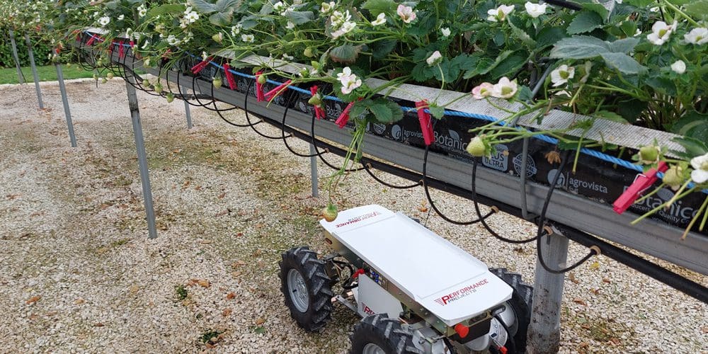 Need for seed: Formula One know-how is helping build a better tractor