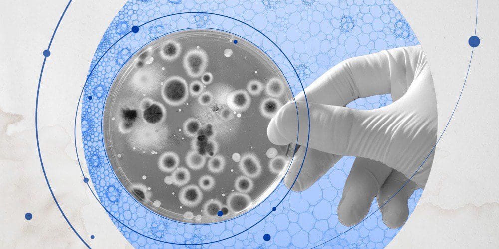 Photo illustration of petri dish.