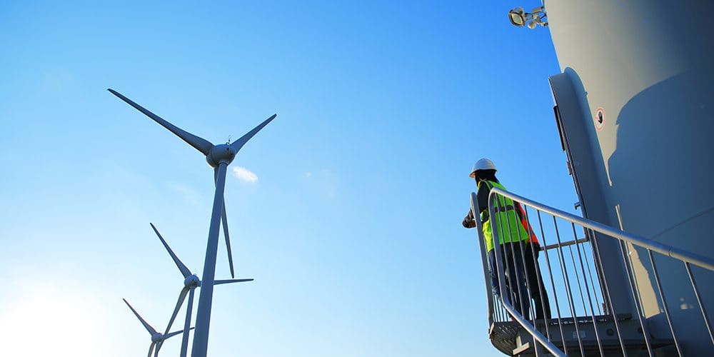 MaRS announces new RBC Women in Cleantech Accelerator cohort