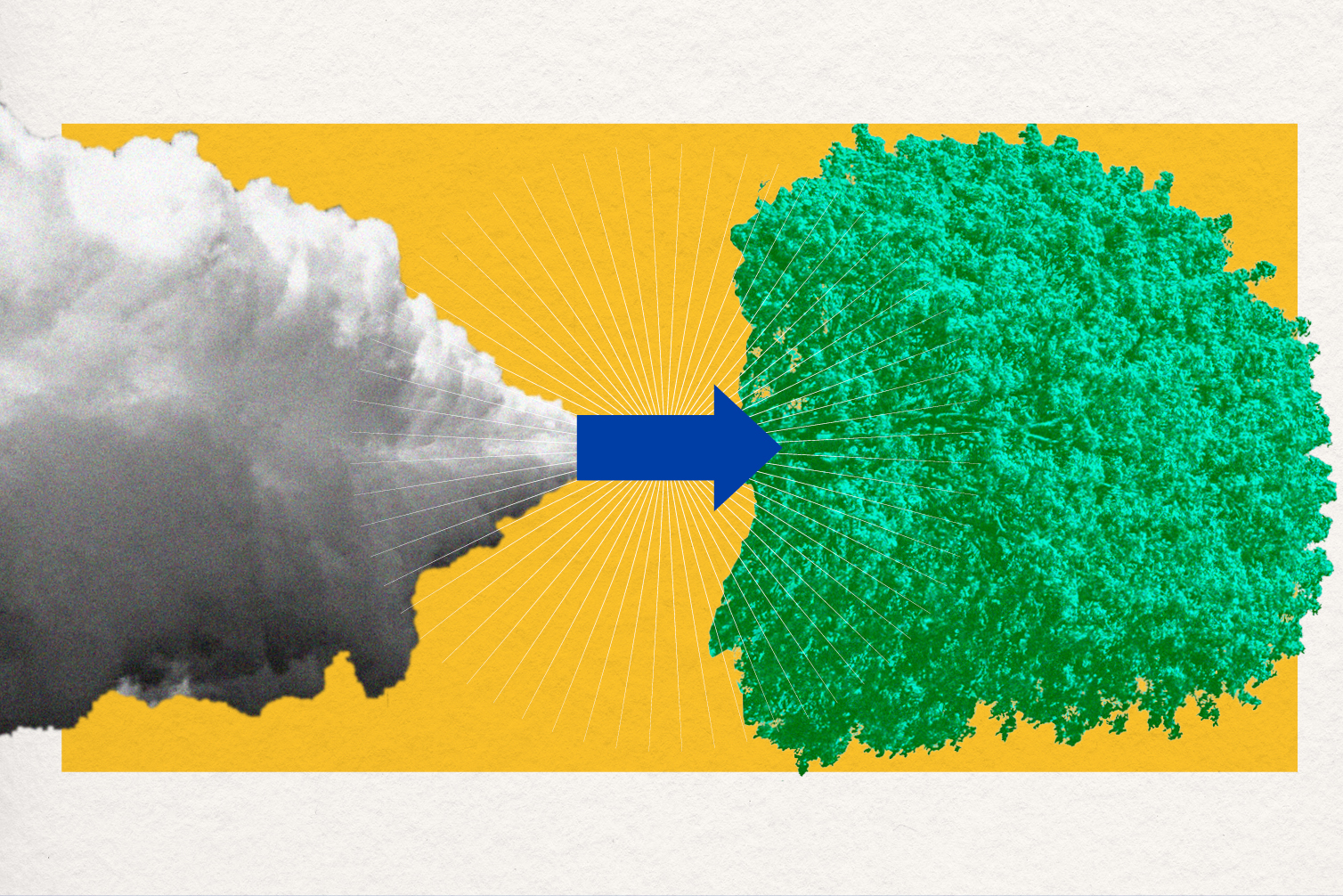 Scrubbing the sky: Sequestering CO2 using an unlikely material